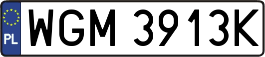 WGM3913K