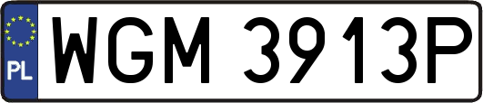 WGM3913P