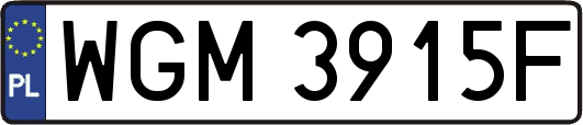 WGM3915F