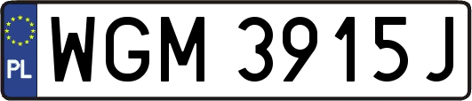 WGM3915J