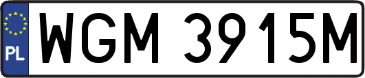 WGM3915M