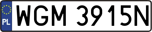 WGM3915N