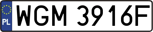 WGM3916F