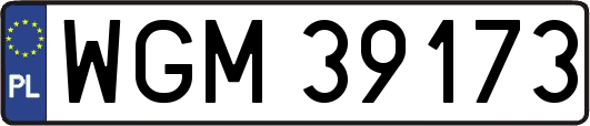 WGM39173