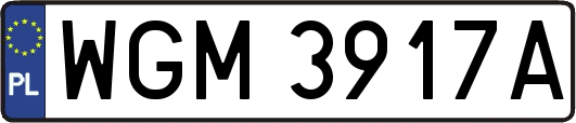 WGM3917A