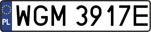 WGM3917E