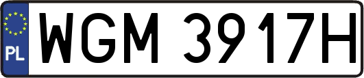 WGM3917H