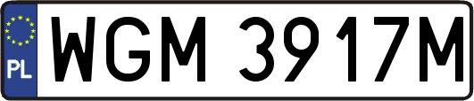 WGM3917M