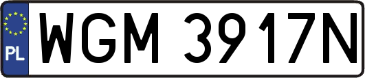 WGM3917N