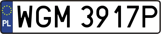 WGM3917P