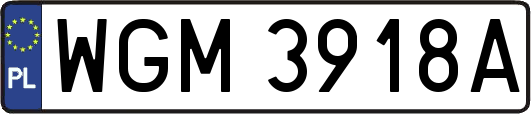 WGM3918A