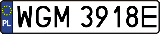 WGM3918E