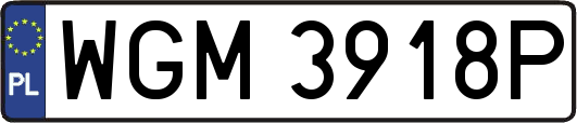 WGM3918P