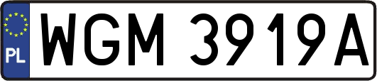 WGM3919A