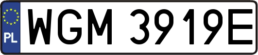 WGM3919E