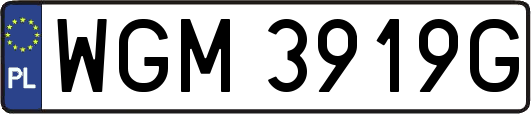 WGM3919G