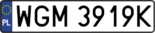 WGM3919K