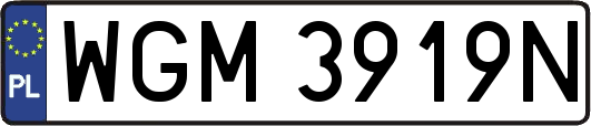 WGM3919N