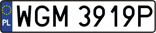 WGM3919P