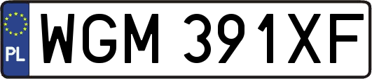 WGM391XF