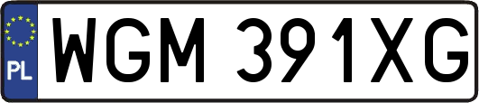 WGM391XG