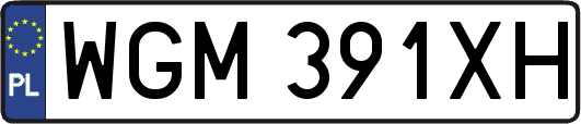 WGM391XH