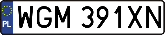 WGM391XN