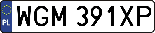 WGM391XP