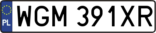 WGM391XR