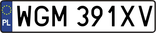 WGM391XV