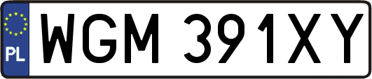 WGM391XY