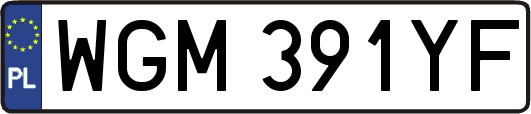 WGM391YF