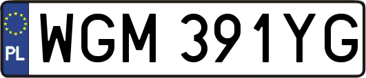 WGM391YG