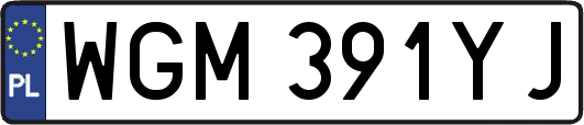 WGM391YJ