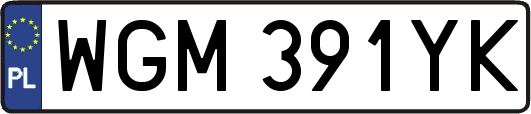 WGM391YK