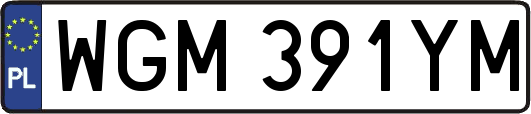 WGM391YM