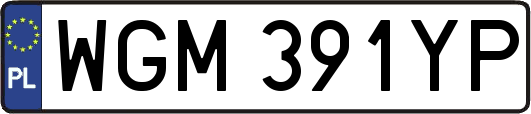 WGM391YP