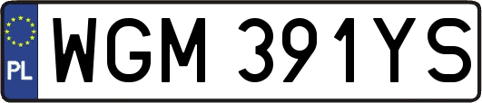 WGM391YS