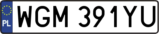 WGM391YU