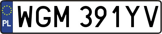 WGM391YV