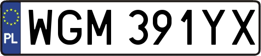 WGM391YX