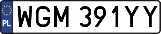 WGM391YY
