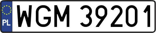 WGM39201