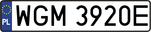 WGM3920E