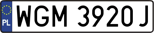 WGM3920J