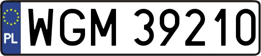 WGM39210
