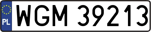 WGM39213