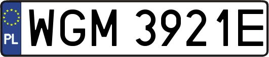 WGM3921E