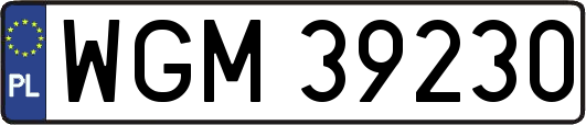 WGM39230