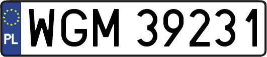 WGM39231